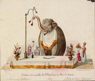 Scenes principales de l'Elephaun du Roi de Siam