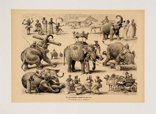 Die Hagenbeck-sche Singhalesen-Karawane / The Hagenbeck'sche Singalese Caravan