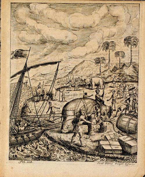 Illustration, fol 118, from Elephantographia Curiosa, Seu Elephanti Descriptio, Juxta Methodum Et Leges Imperialis