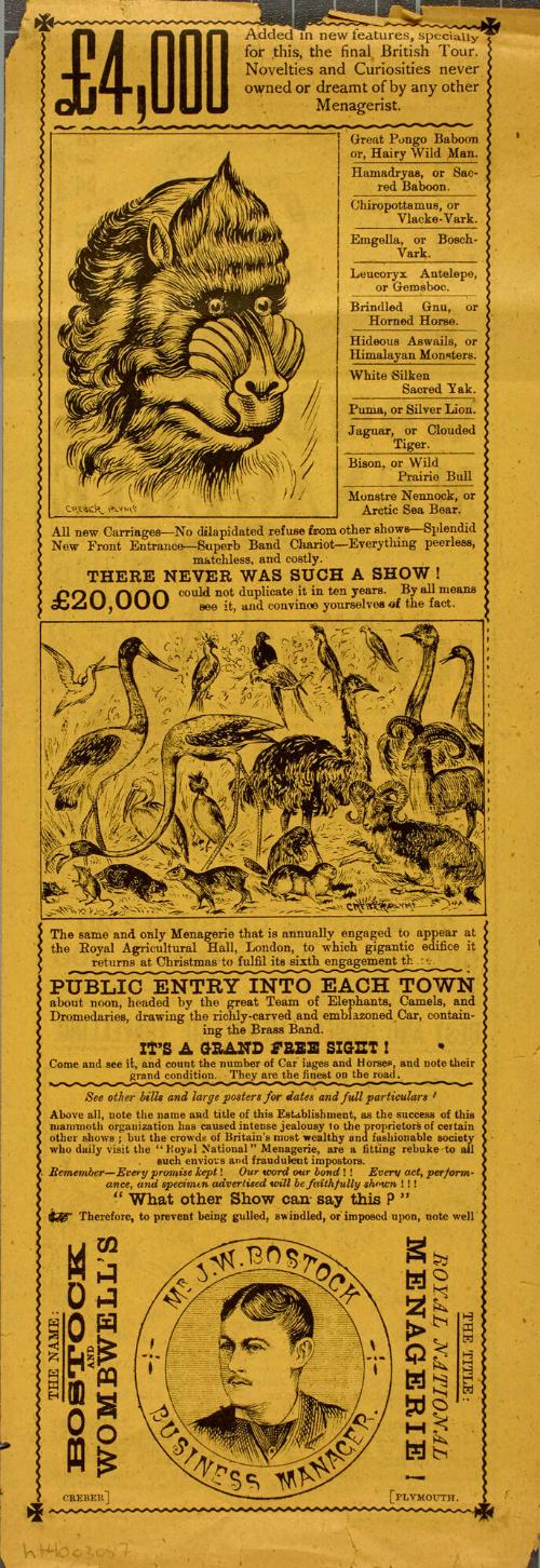 Double-sided handbill for Bostock and Wombwell's Menagerie, February 13, 1850(?)