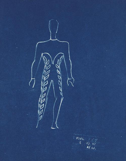 Male Performer