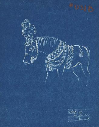 Horse Trappings