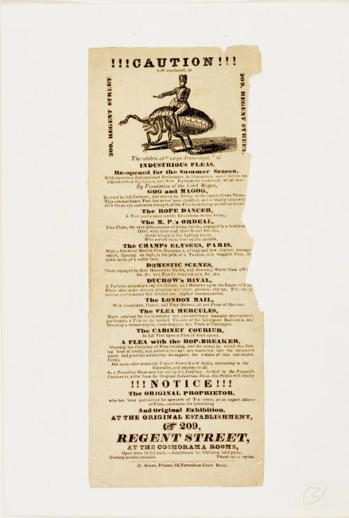 Handbill advertising an exhibition of Industrius Fleas at 209 Regent Street