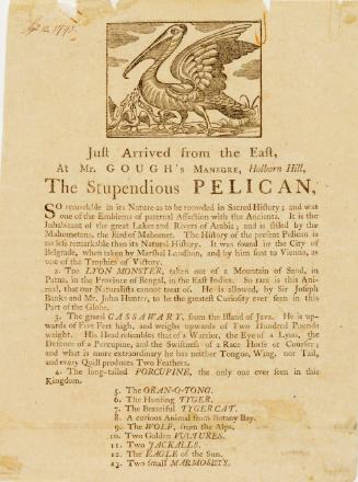 Handbill for an exhibition of "The Stupendious Pelican" at Mr. Gough's Manegre, Holborn Hill. September 14, 1795
