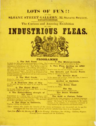 Handbill for an exhibition of Industrious Fleas, Sloane Street Gallery, Knightsbridge
