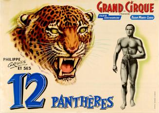 Grand Cirque de France : Philippe Gruss et Ses 12 Pantheres