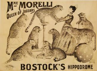 Bostock's Hippodrome: Mme. Morelli