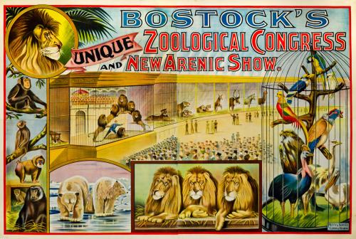 Bostock's Zoological Congress