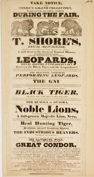 Playbill for T. Shores Royal Menagerie. c. 1820