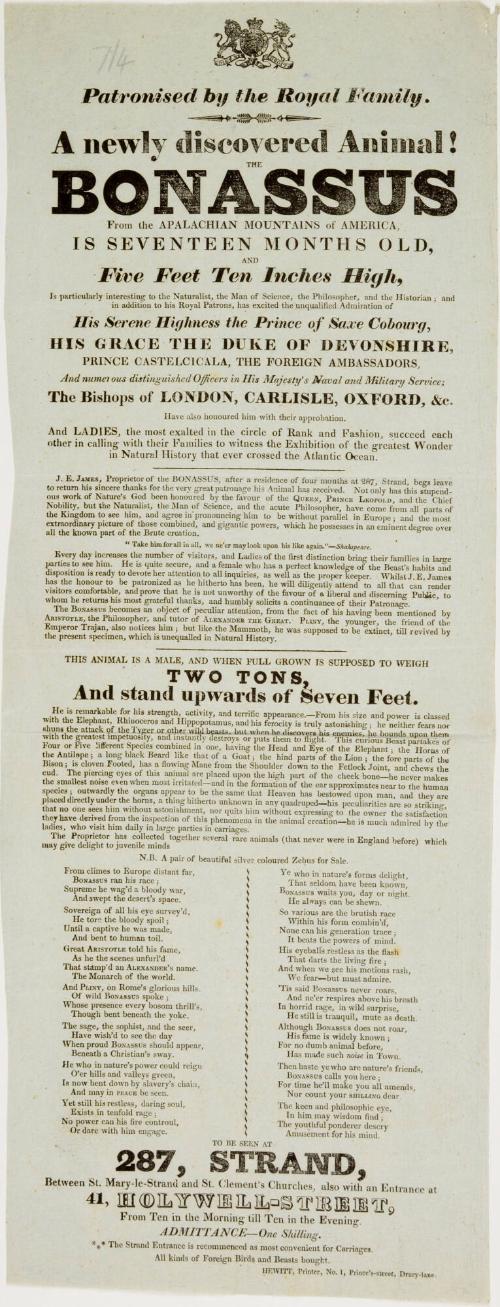 Playbill for 287, Strand, London