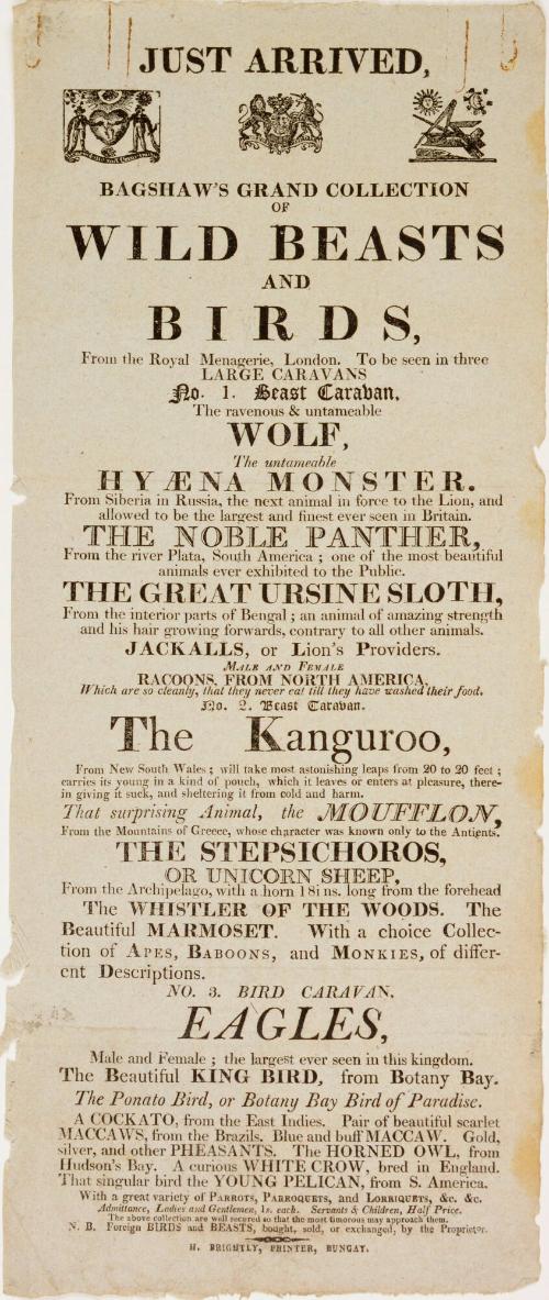 Playbill for Bagshaw's Grand Collection of Wild Beasts and Birds, Bungay