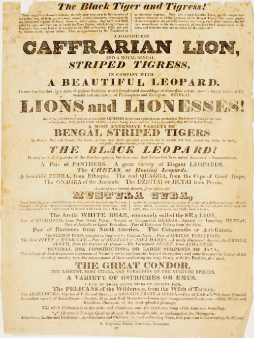 Lower portion of a playbill for a menagerie, possibly Wombwell's