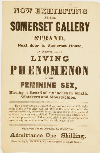 Handbill for an exhibit of a bearded lady at Somerset Gallery, Strand