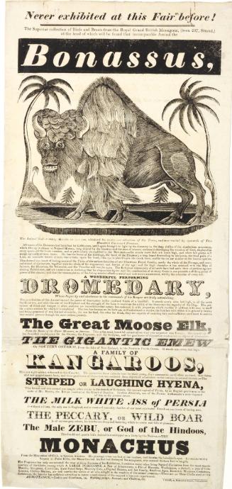 Playbill for an exhibition of Royal Grand British Menagerie animals.
