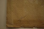 SN694 reverse showing detail