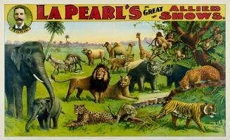 J.H. LaPearl: Animals