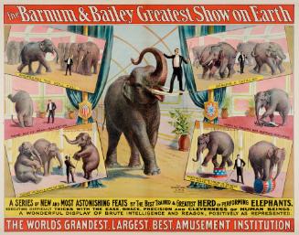 Barnum & Bailey: Greatest Herd of Performing Elephants
