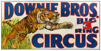 Downie Bros.: Tiger
