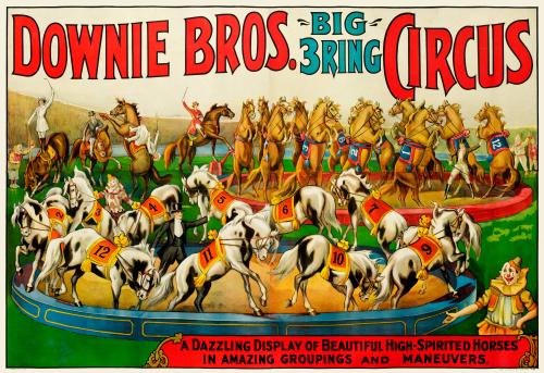 Downie Bros.: A Dazzling Display of High Spirited Horses
