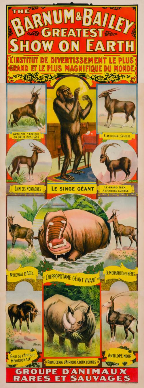 Barnum & Bailey: Groupe D'Animaux Rares Et Sauvages