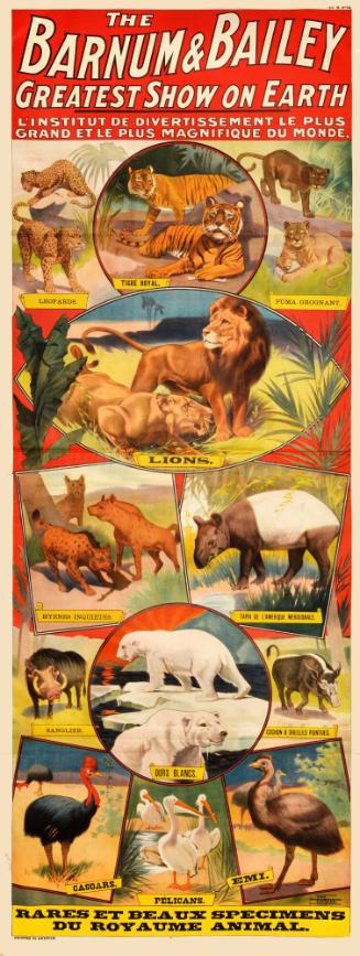 Barnum & Bailey: Rares Et Beaux Specimens Du Royaume