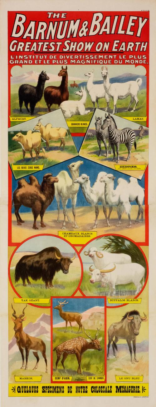 Barnum & Bailey: Quelques Specimens De Notre Colossale