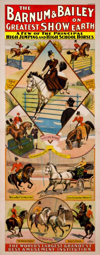 Barnum & Bailey: A Few High Jumping & High School Horses
