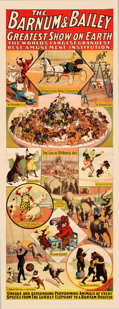 Barnum & Bailey: Unique Performing Animals