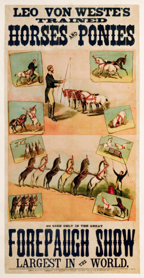 Leo Von Weste's Trained Horses and Ponies
