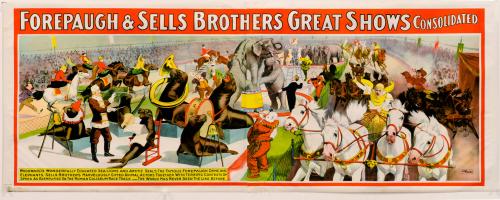 Forepaugh-Sells Great Consolidated: Woodward's Sea Lions and Arctic Seals