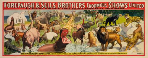 Forepaugh-Sells Enormous Shows United: The Animal Kingdom's Teeming Capitol