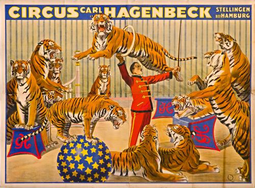Circus Carl Hagenbeck: 12 Tiger Act