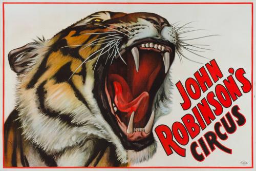 John Robinson's Circus: Tiger