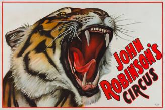 John Robinson's Circus: Tiger