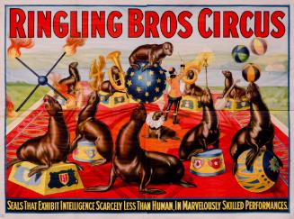 Ringling Brothers: Seal Act